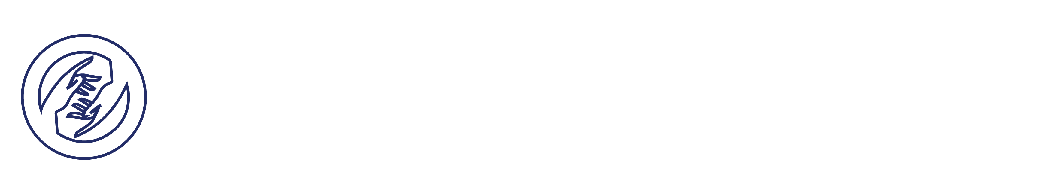 Integrated Social Initiatives